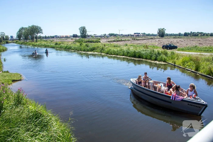 Zowel mens als dier zoeken verkoeling op