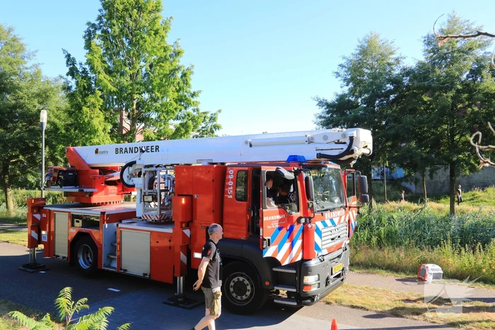 Kat Tommy zorgt voor lastige reddingsactie uit boom