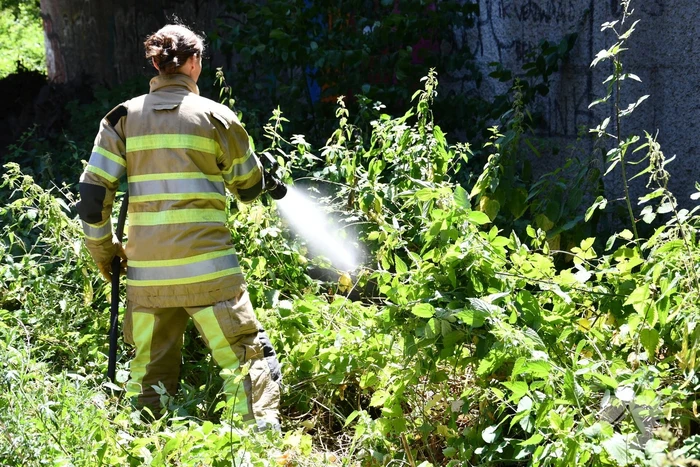 Bermbrand onder viaduct van snelweg