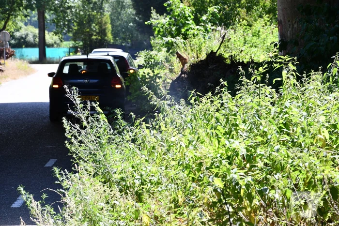 Bermbrand onder viaduct van snelweg