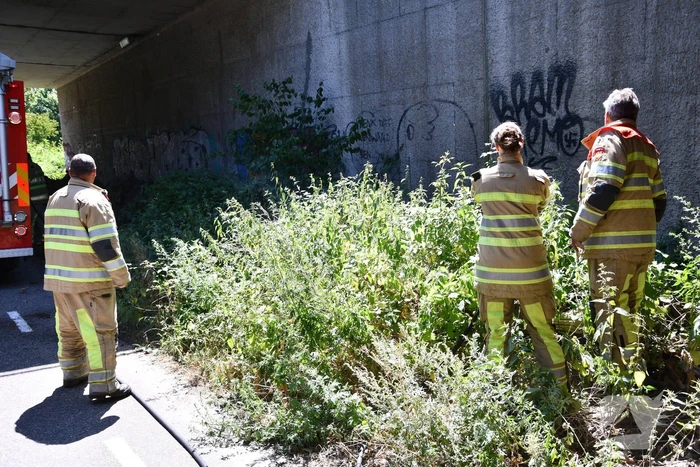 Bermbrand onder viaduct van snelweg