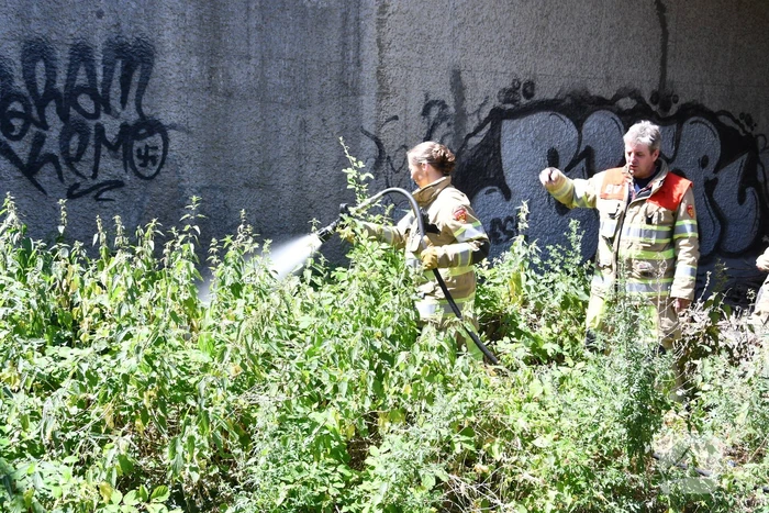 Bermbrand onder viaduct van snelweg