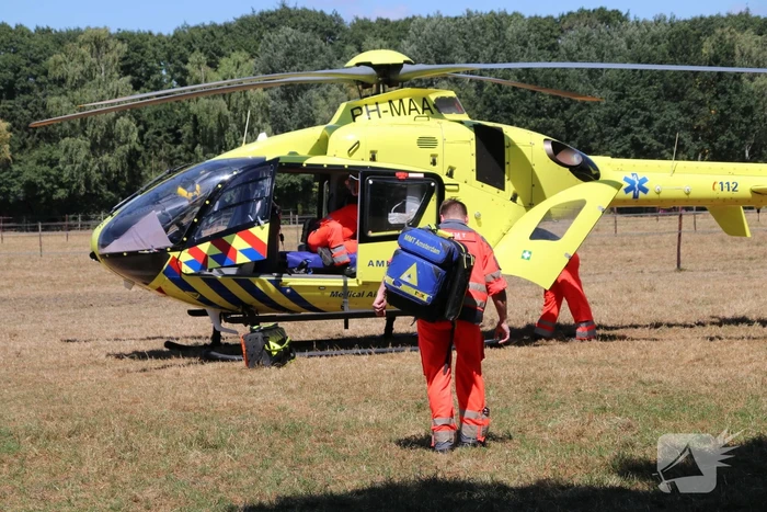 Vrouw zwaargewond na val van paard