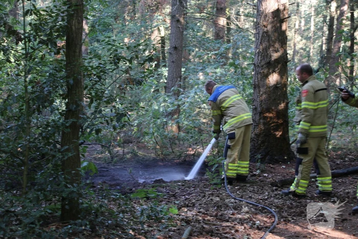 brand wildzoom ede