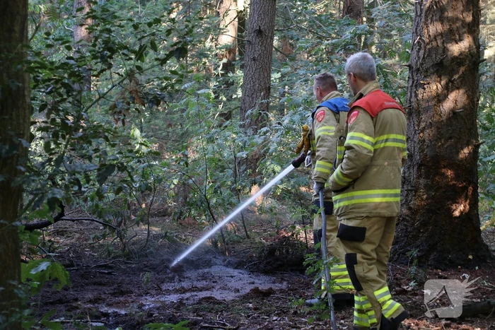 Brand in bosperceel