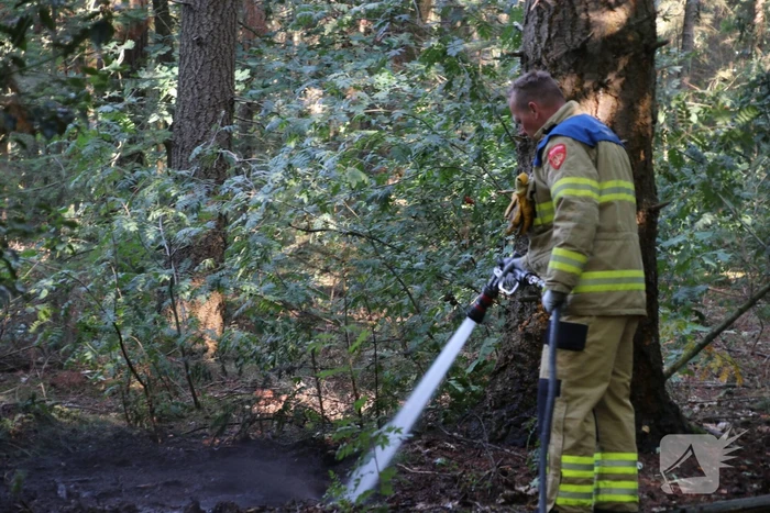 Brand in bosperceel