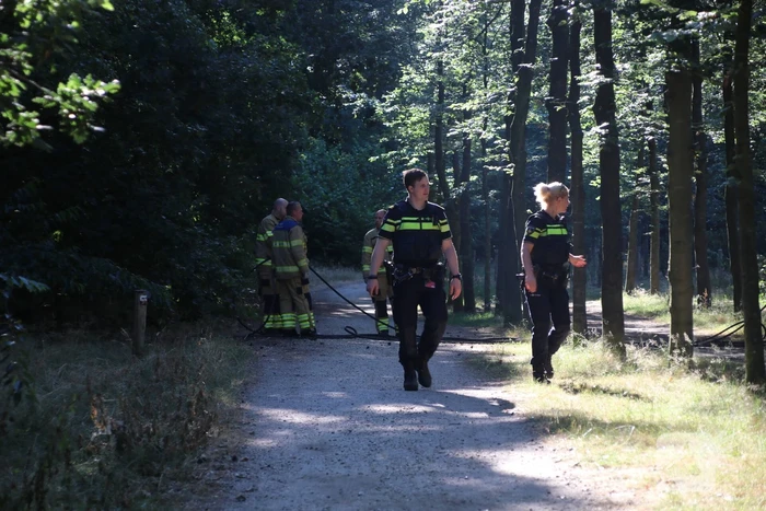 Brand in bosperceel