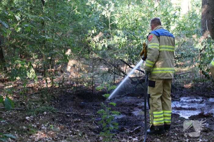Brand in bosperceel
