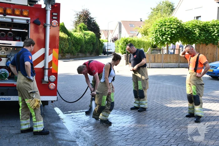 Flinke zoektocht voor brandweer naar schaap te water