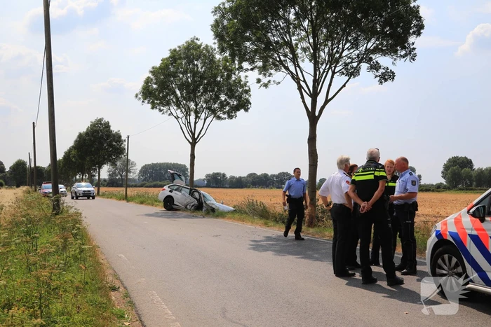 Veel schade na botsing tegen boom