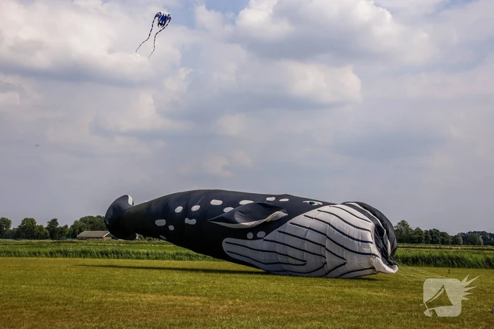 Mega-kites opgelaten boven Vathorst