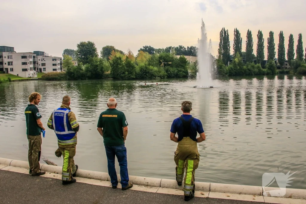 Het Masker Nieuws Amersfoort 