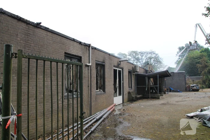 Day after grote brand ROVC