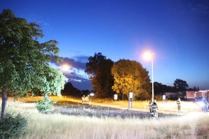 Bermbrand geblust bij oprit snelweg
