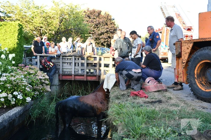 ongeval middenweg nederhorst den berg
