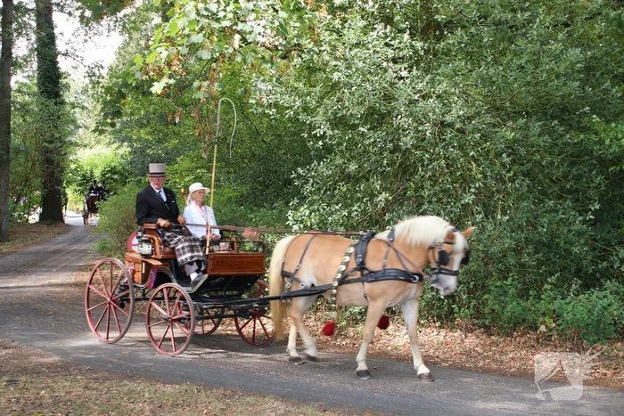 evenement almenseweg vorden