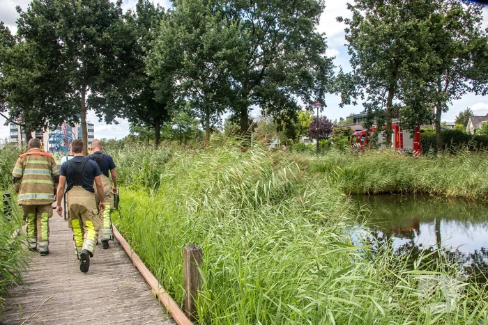 SKA-juf ontdekt in brand gestoken tas met schoolspullen