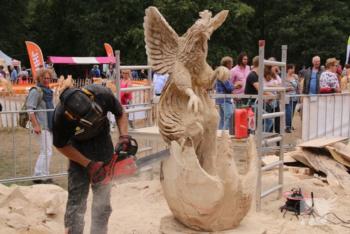 evenement zevenlindenweg baarn