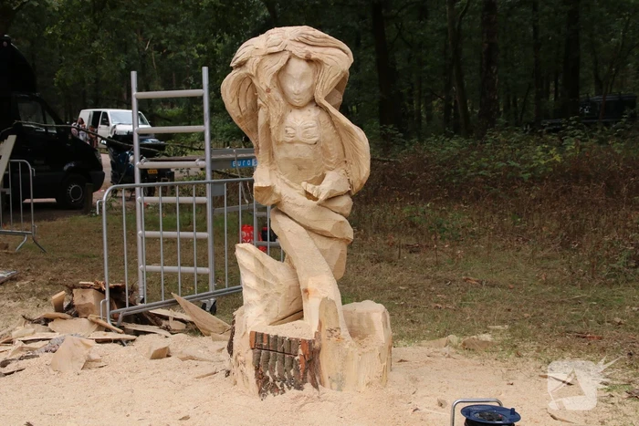 NK Carving tijdens Houthakkersfeest
