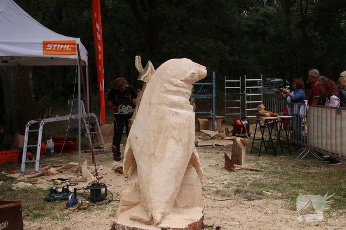 NK Carving tijdens Houthakkersfeest