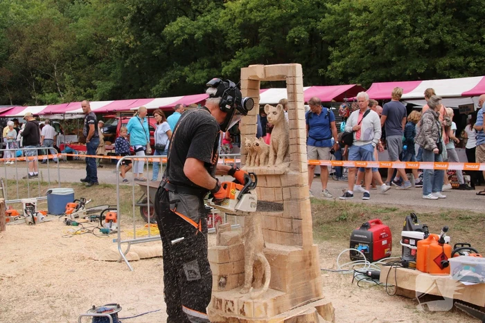 NK Carving tijdens Houthakkersfeest