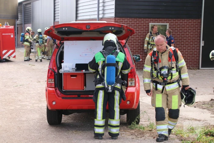 Dieren in stal onwel door dampen geoogst mais
