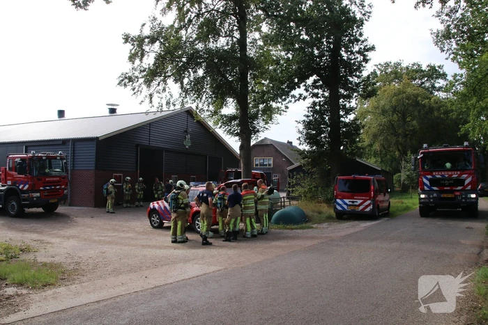 Dieren in stal onwel door dampen geoogst mais