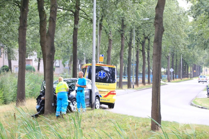 Bestuurder knalt tegen boom