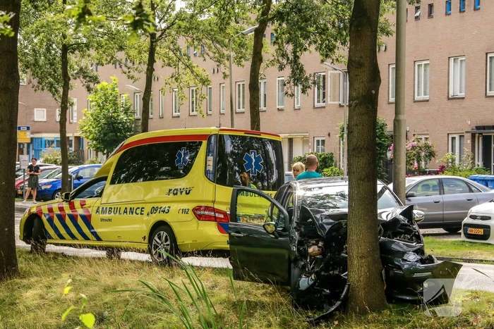 Bestuurder knalt tegen boom