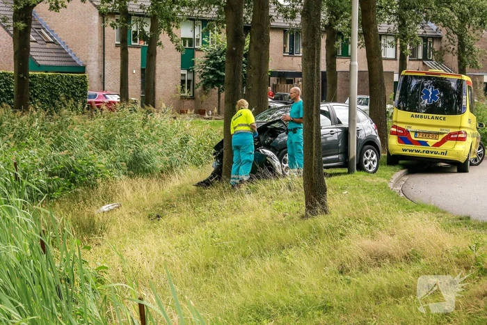 Bestuurder knalt tegen boom