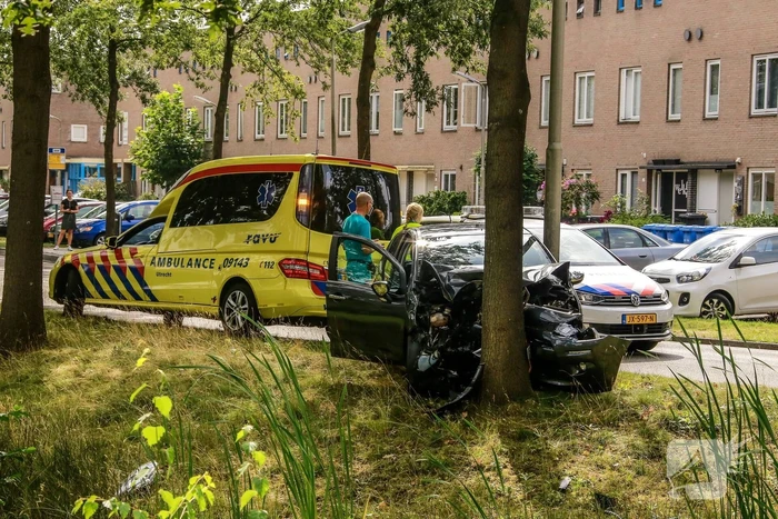 Bestuurder knalt tegen boom
