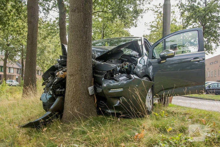 Bestuurder knalt tegen boom