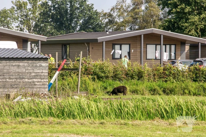 Man zwaargewond bij incident bij woning