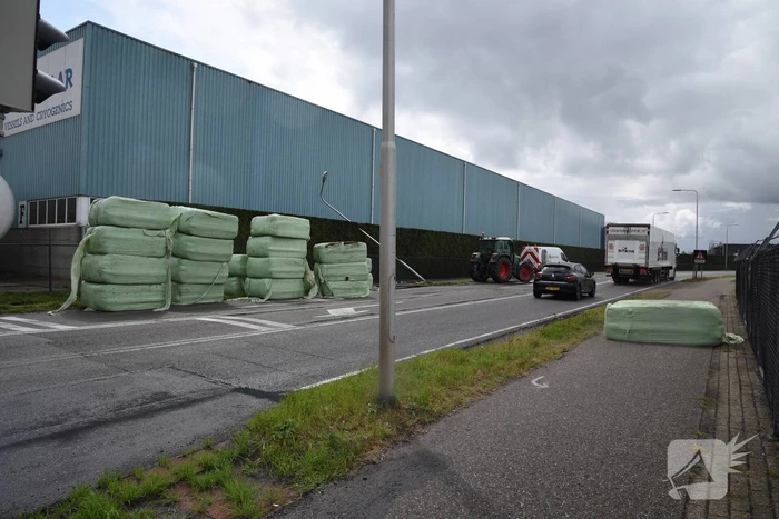 Trekker geschaard over de weg