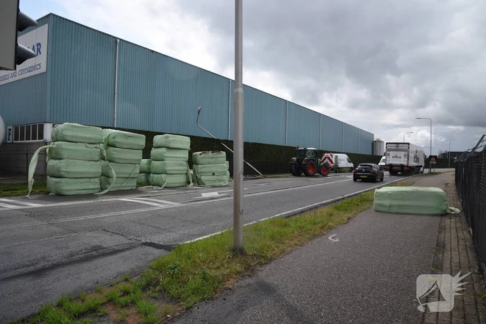 Trekker geschaard over de weg