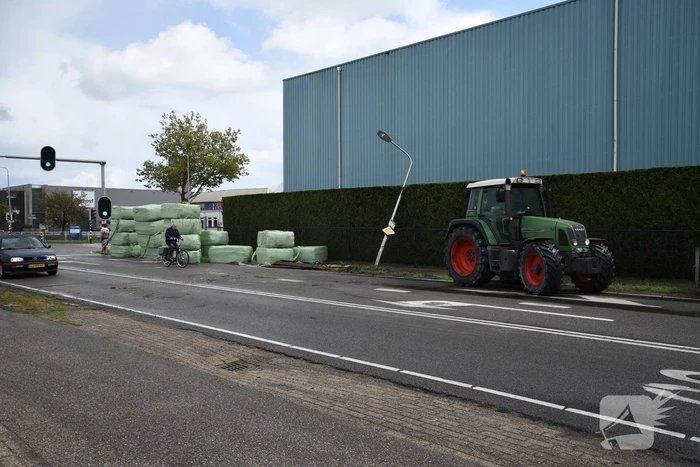 Trekker geschaard over de weg