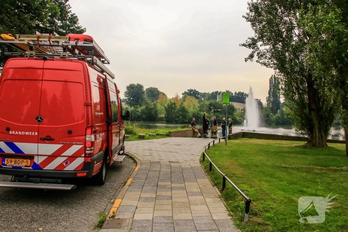 Verlamde meeuw uit water gered