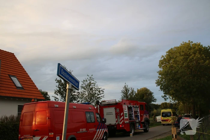 Bestuurder mist bocht en botst tegen boom