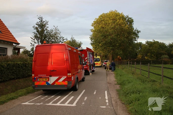 Bestuurder mist bocht en botst tegen boom