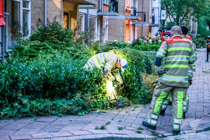 Voorbijgangers ruiken gaslucht