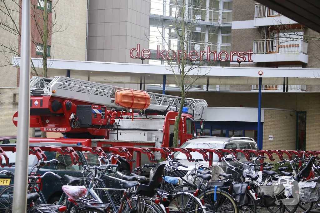 Paladijnenweg  Nieuws Amersfoort 