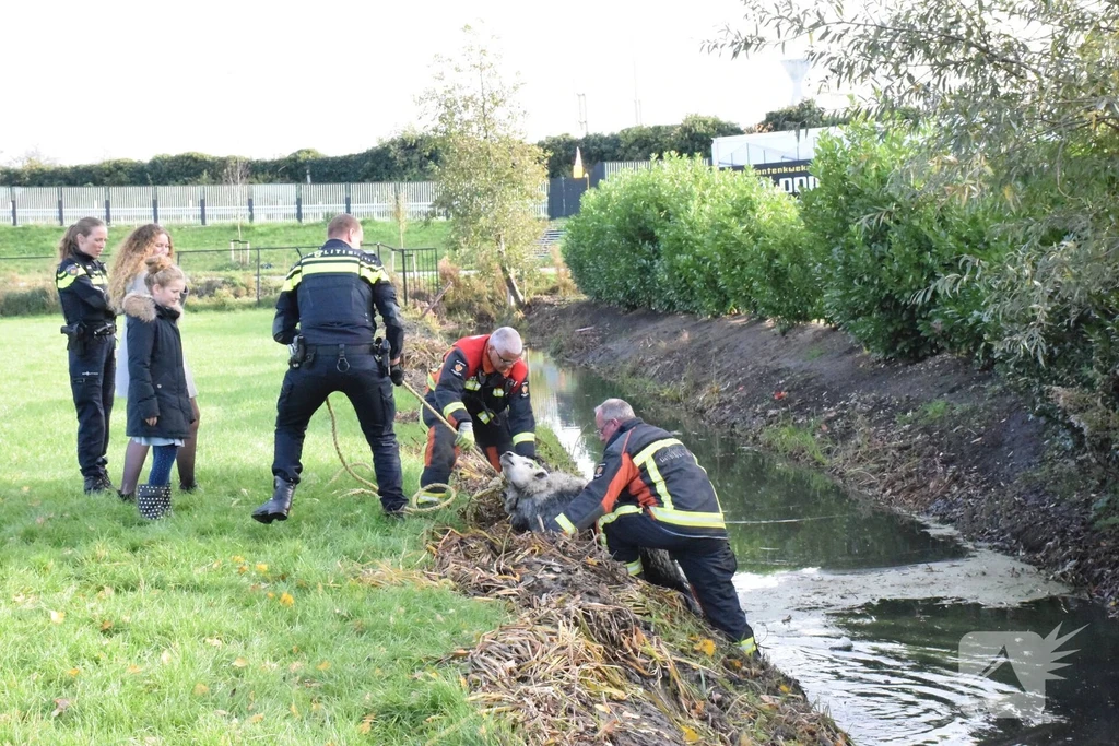 Akkeroord Waddinxveen 112 