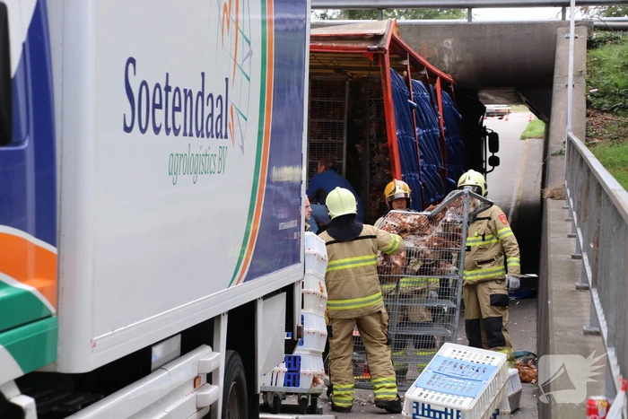 Vrachtwagen vol kippen vastgereden onder viaduct A30