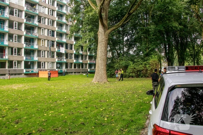 nieuws ivoordreef utrecht