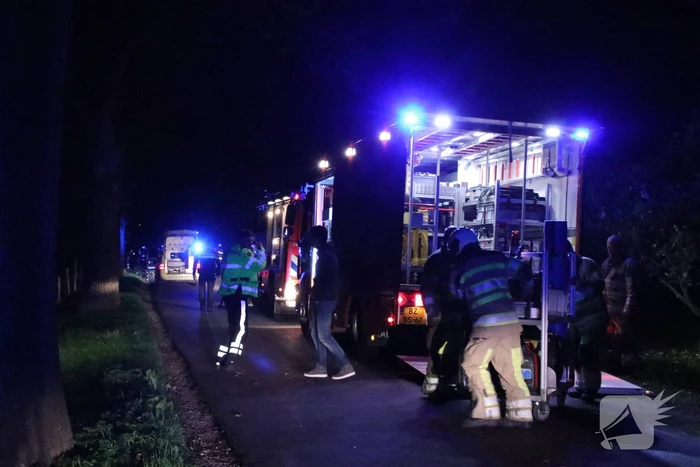 Bestuurder bestelwagen overleden na botsing tegen boom