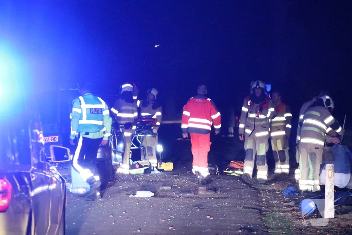 Bestuurder bestelwagen overleden na botsing tegen boom