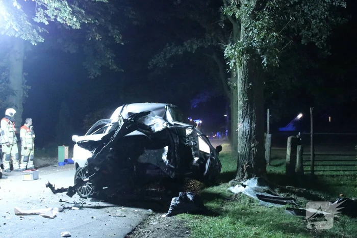 Bestuurder bestelwagen overleden na botsing tegen boom