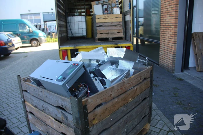 600 plantjes ontmanteld