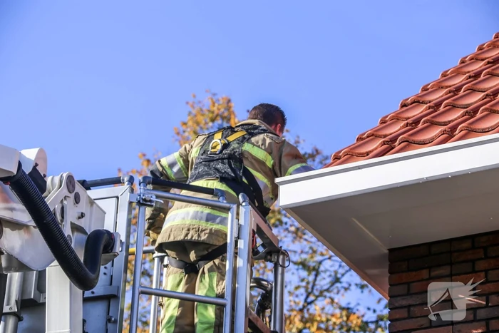 Kat springt uit dakgoot bij reddingspoging