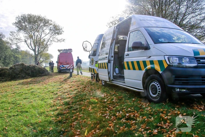 Zwaan met gebroken vleugel uit sloot gered